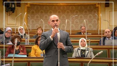 برلمانى يتقدم بطلب إحاطة لتدبير ٣٠ مليون جنيه لتطوير منطقة العسال