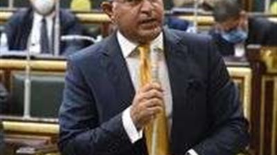 برلماني: تنامي التعاون التجاري بين مصر والسعودية يساهم في تعزيز العلاقات بين البلدين