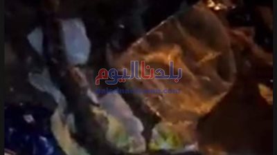 العثور على ثعبان نافق وسط أكوام القمامة بالمحلة .. ومسئول يرد (فيديو)