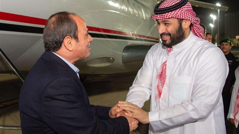 الرئيس السيسي وولي