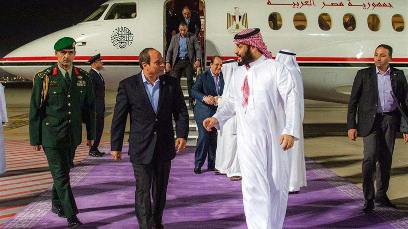 الرئيس السيسي وولي