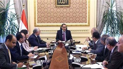 مدبولي: الدولة مهتمة بالتوسع في مشروعات التنمية الزراعية