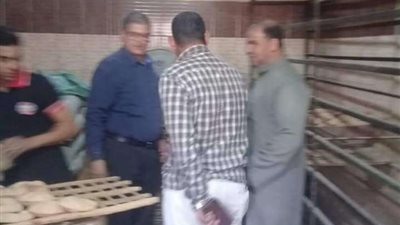 تحرير 19 مخالفة خلال حملات تموينية بـ المنيا