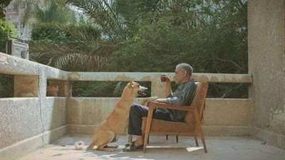 فيلم كلينك تشارك بفيلم 