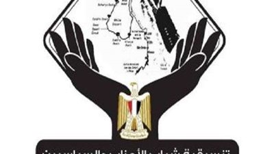 التنسيقية ترد بقوة على قرار البرلمان الأوروبي بشأن حقوق الإنسان في مصر