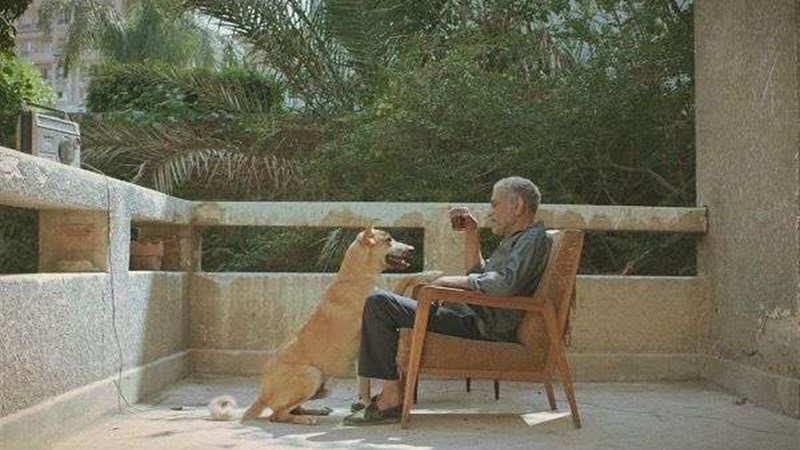 فيلم 19 ب