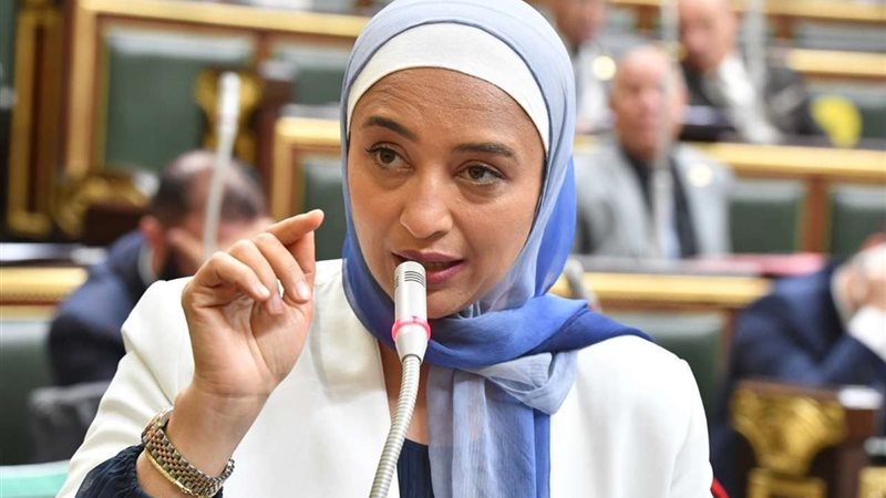 النائبة أميرة أبو