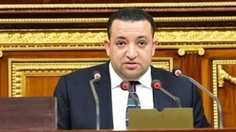 النائب تامر عبد القادر