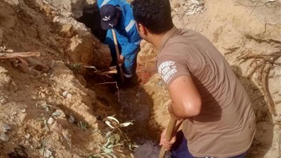 استخراج جذور الأشجار من الشبكات وإعادة ضخ مياه الشرب لـ 90 منزلا بمدن القناة