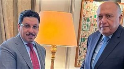 وزير الخارجية اليمني يؤكد أمن مصر المائي جزء من العربي