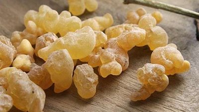 يعالج البشرة والتهاب المفاصل.. تعرف على فوائد لبان الدكر