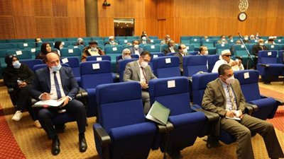 ‏ برعاية الرئيس..  زيارة لوفد من قادة الجنوب الليبي لمصر.. صور