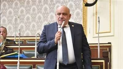 النائب سيد حنفي: مشاركة الرئيس في إفطار الأسمرات أسعدت كل المصريين ‎‎