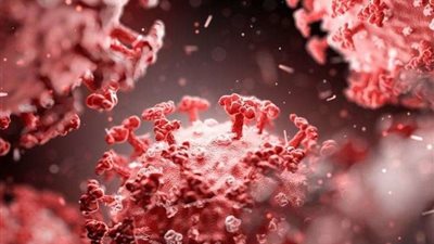 إيران تفجر مفاجأة بشأن السلالة الجديدة لفيروس كورونا