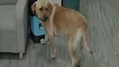 مصرع أب ونجله بسبب 