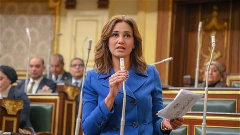 النائبة رغدة نجاتي