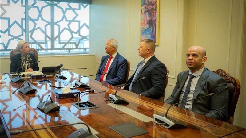 ياسمين فؤاد وزيرة