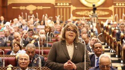 فيبي فوزي: الاقتصاد الناجح يحتاج الى تضافر جهود الجميع