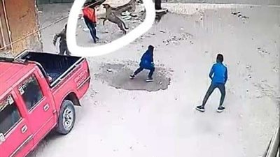 شاهد.. سلعوه تثير الفزع والرعب على أهالي قنا