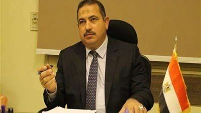 خاص|الشافعي: ربط البحرين يستهدف ربط ميناء العين السخنة بميناء الأسكندرية
