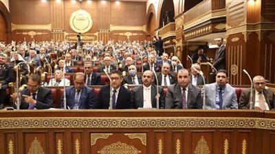 مجلس الشيوخ يناقش مقترح قانون ترشيد المياه اليوم