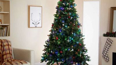 إلغاء احتفالات رأس السنة بجميع المحافظات