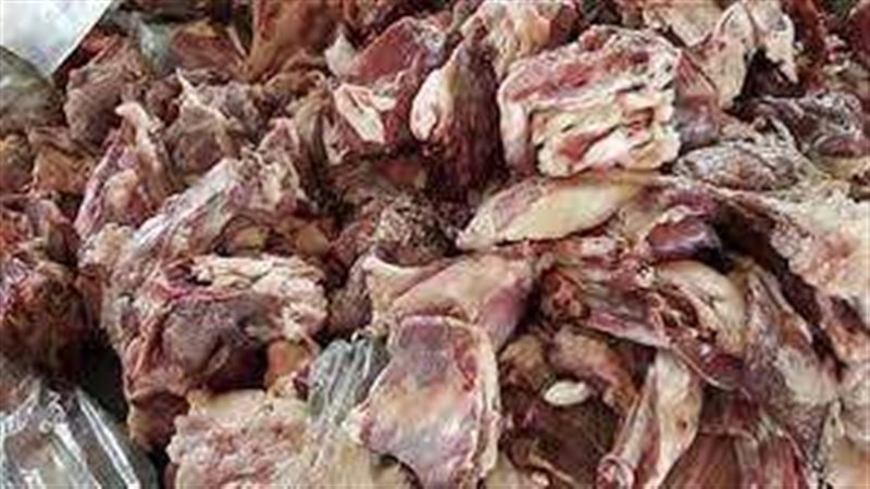 ضبط 259 طنًّا لحم