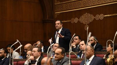 النائب أكمل نجاتي يطالب بخطة لتوعية المواطنين بترشيد استخدام المياه ومنع الهدر