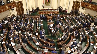 جلسة النواب تشهد غضب شديد بسبب الاعتداءات الاسرائيلية على الفلسطينيين