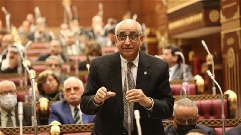 النائب حسنين توفيق