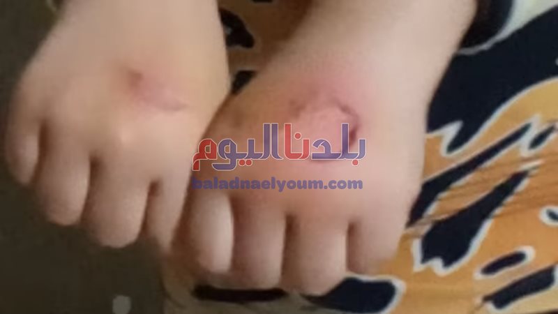 بلدنا اليوم