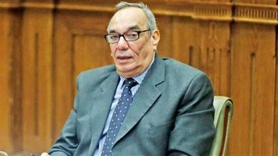 برلماني يستعرض تقرير لجنة الدفاع حول تعديلات الجنسية المصرية