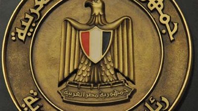 المتحدث الرئاسي ينشر صور استقبال الرئيس السيسي الشيخ محمد بن زايد