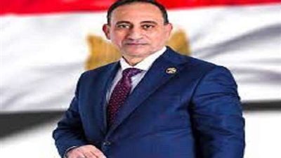 زين الدين: زيادة سعر توريد القمح يشجع الفلاحين على توسعة الرقعة الزراعية