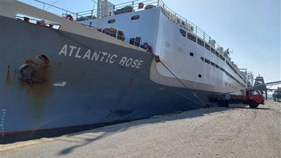 ميناء غرب بورسعيد يشهد نشاطاً ملحوظاً في حركة سفن البضائع العامة