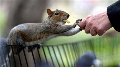 قبل انتهاء 2020.. 