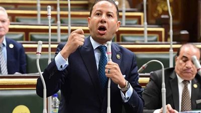 برلماني: تشكيل المجلس الأعلى للاستثمار  يدعم مجتمع الأعمال ويجذب رؤوس الأموال