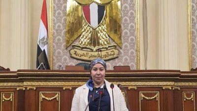 فايزة صالح: تشكيل المجلس الأعلى للاستثمار يساعد في تهيئة مناخ جاذب لرؤوس الأموال