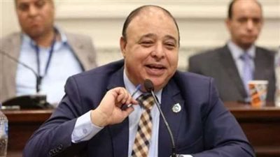 وكيل صحة الشيوخ: علاقة المسلمين والأقباط وطنية وأبدية