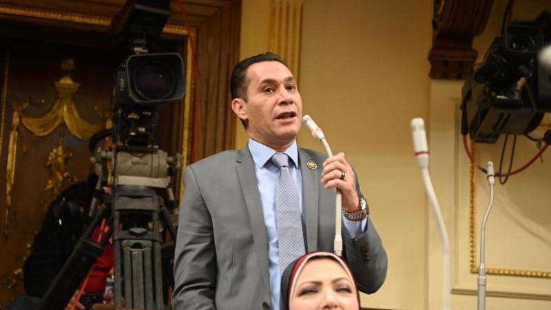 النائب أحمد عاشور