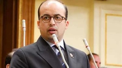 برلماني: حصر الدولة للأراضي الفضاء يعود بالنفع على الاقتصاد