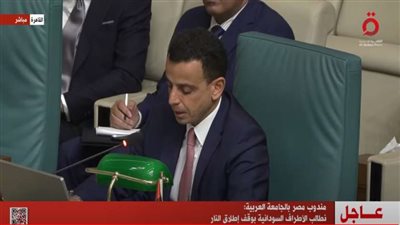 مندوب مصر بجامعة الدول العربية: أمن السودان جزءاً لا يتجزأ من الأمن القومي العربي