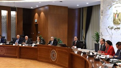 مجلس الوزراء يناقش تقليل الاعتماد على الغاز الطبيعي في قطاع الكهرباء