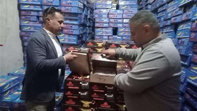 ضبط طن رنجة مجهولة المصدر وتحرير 91 محضراً تموينيًا في حملة مكبرة بالإسماعيلية