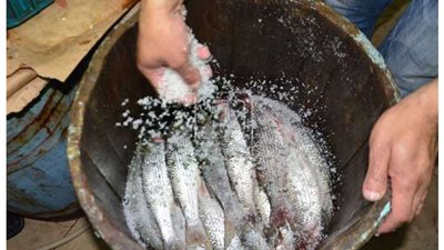 شم النسيم 2023.. أسعار الفسيخ والرنجة تبدأ من 70 جنيه