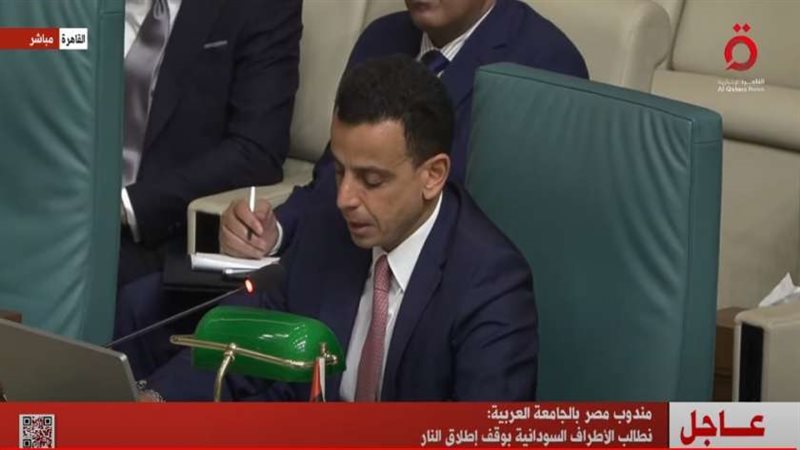 مندوب مصر بالجامعة