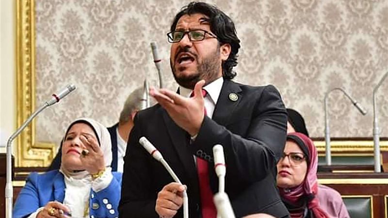 النائب أحمد البرلسي