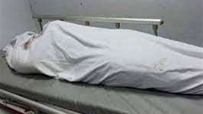 الخلافات المالية تقود 5 أشخاص لقتل شاب وإلقاء جثته في مصرف بالمنوفية