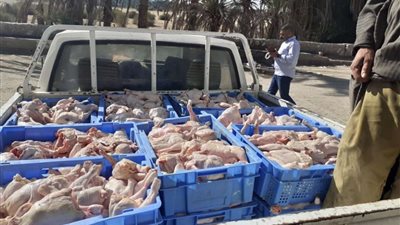 ضبط 3 طن لحوم فاسدة و151 ألف عبوة مستحضرات تجميل