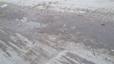 إغلاق طريق الكريمات الصحراوي بسبب الشبورة